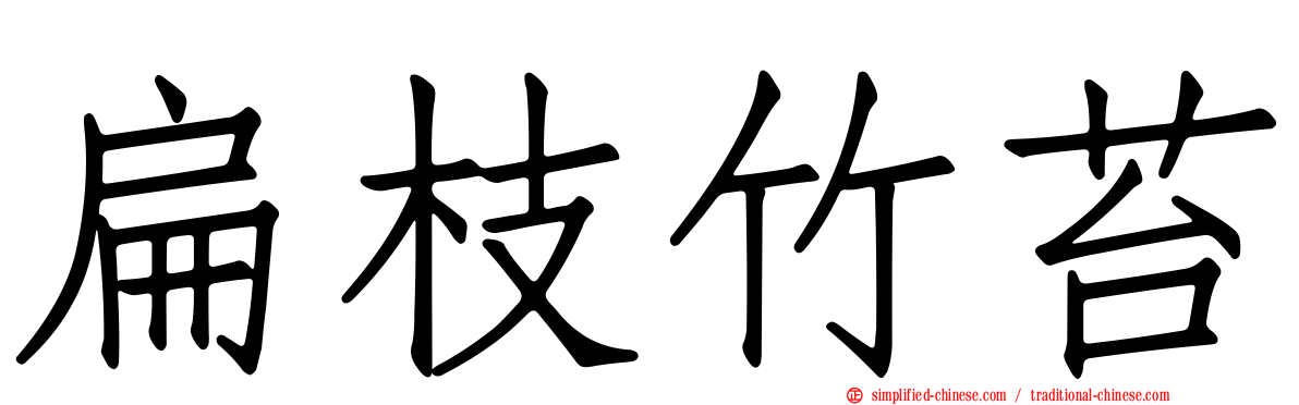 扁枝竹苔