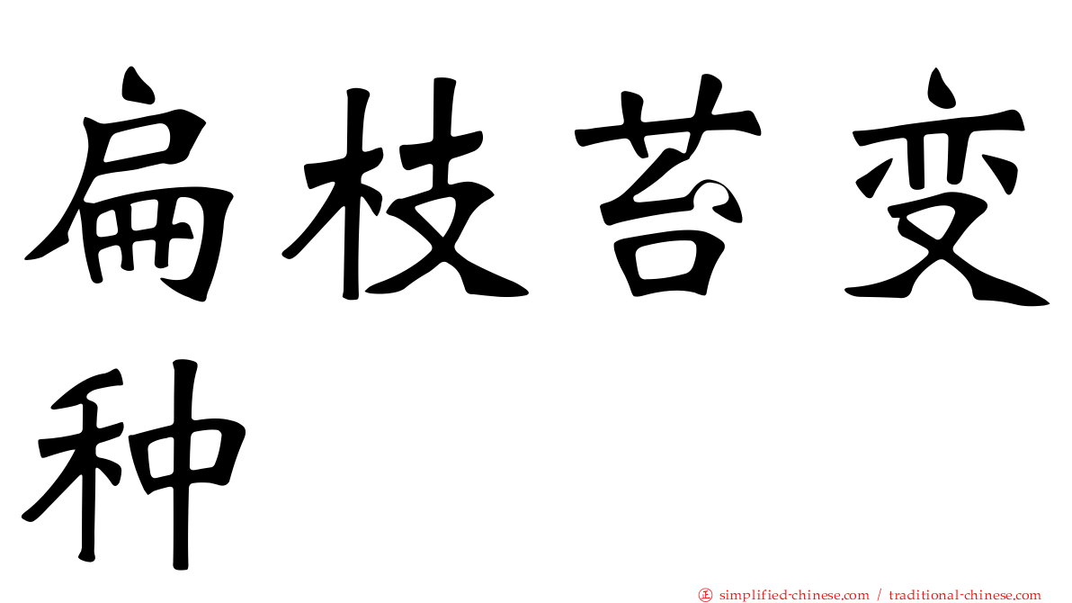扁枝苔变种