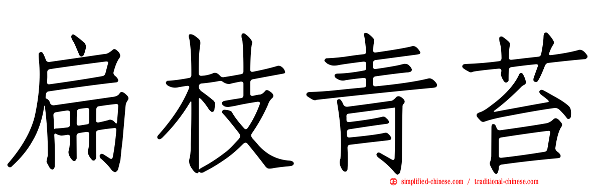 扁枝青苔