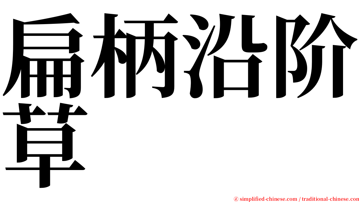 扁柄沿阶草 serif font