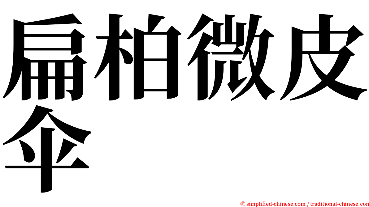 扁柏微皮伞 serif font