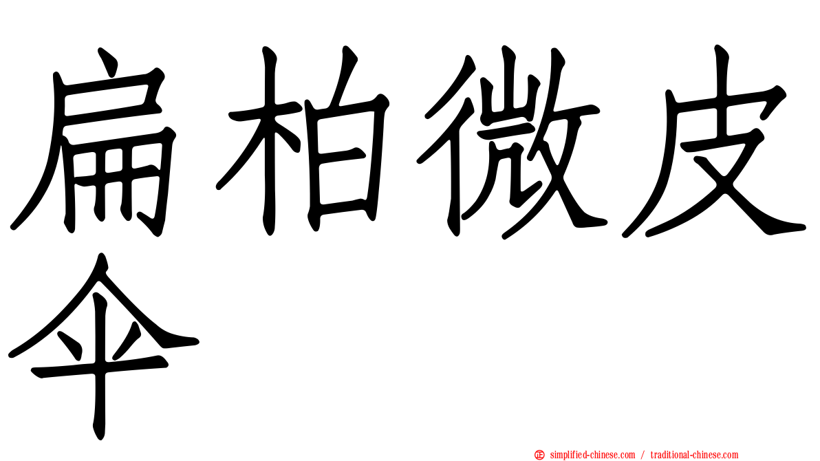 扁柏微皮伞