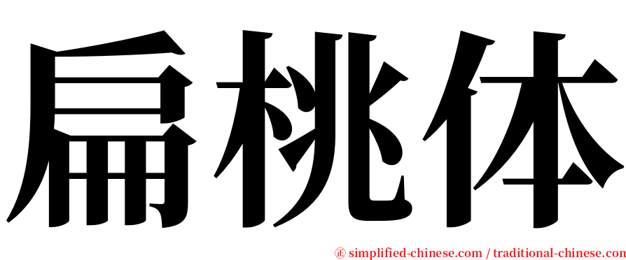 扁桃体 serif font
