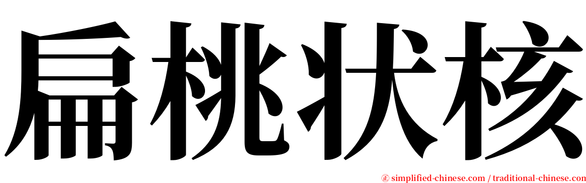 扁桃状核 serif font