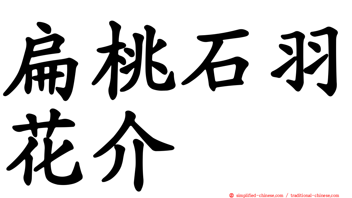 扁桃石羽花介