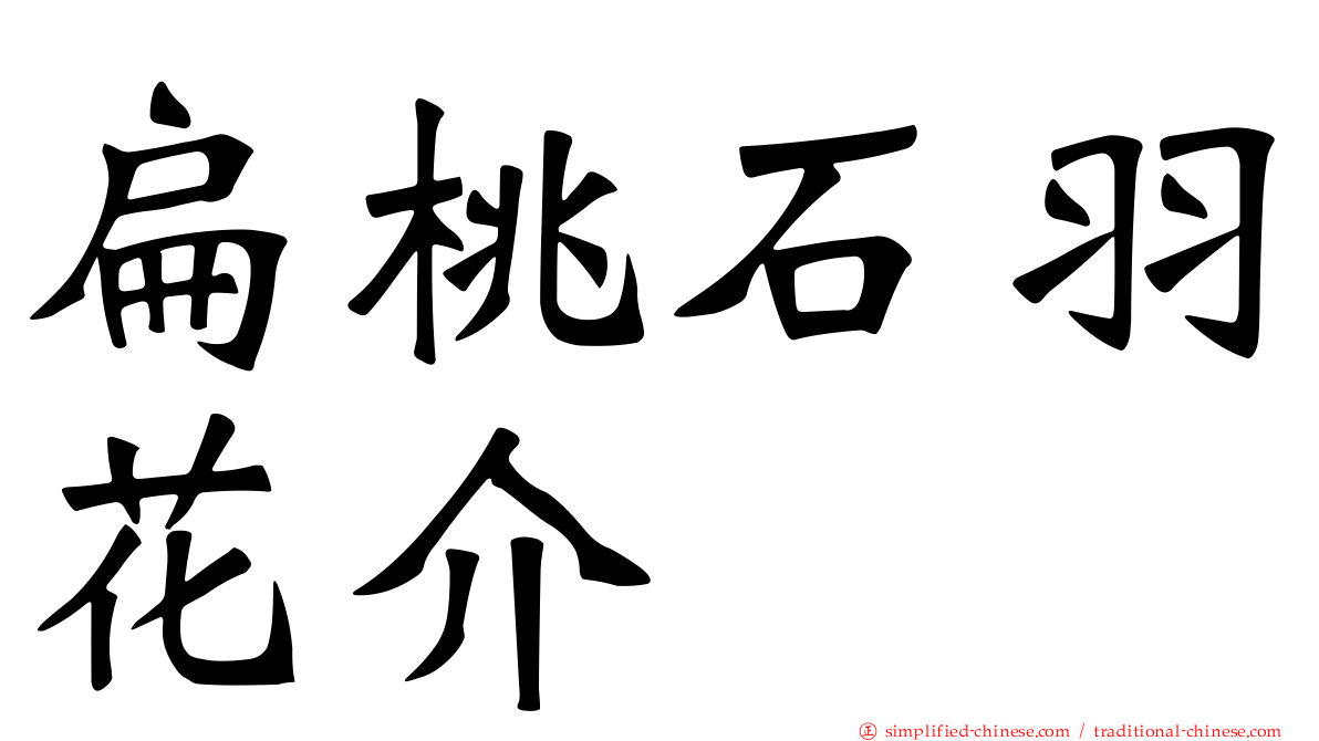 扁桃石羽花介