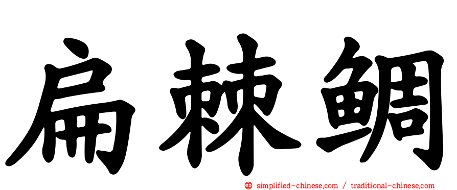 扁棘鲷
