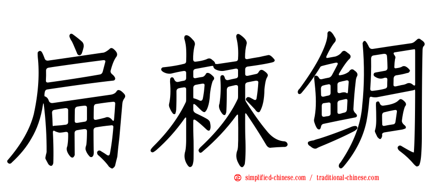 扁棘鲷