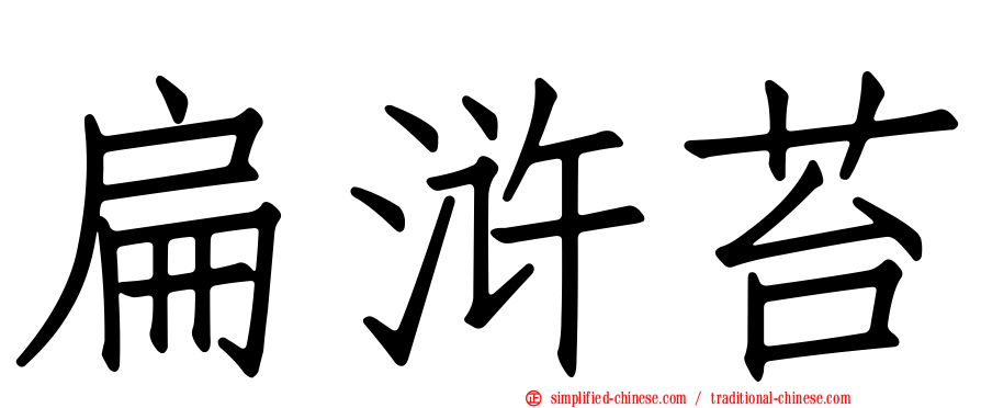扁浒苔