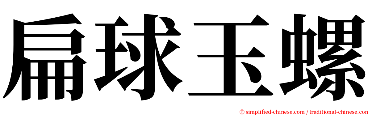 扁球玉螺 serif font