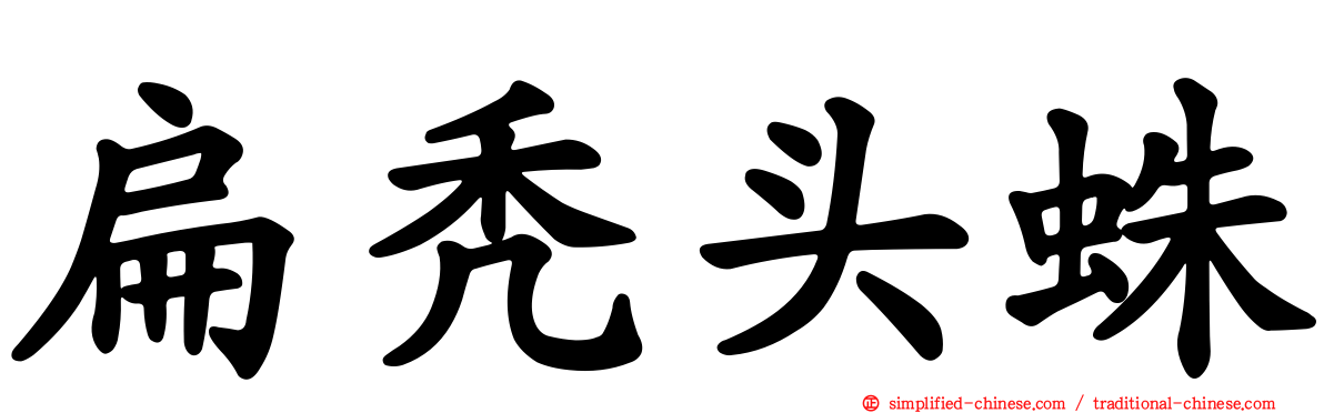 扁秃头蛛