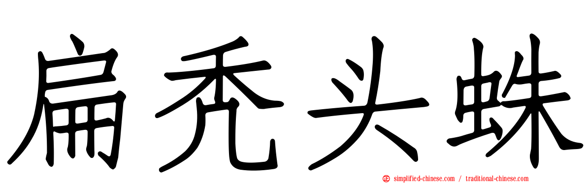 扁秃头蛛