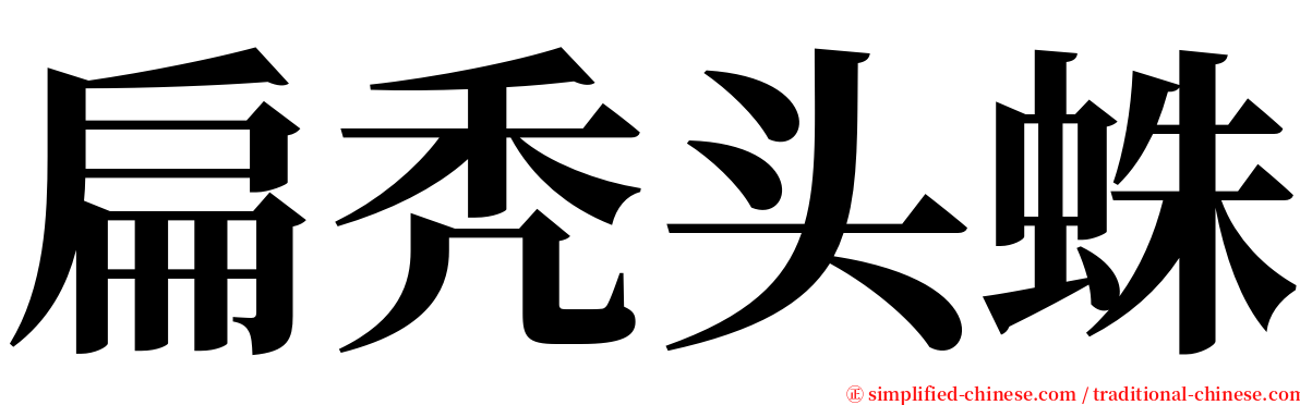 扁秃头蛛 serif font