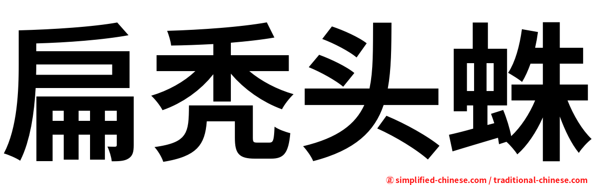 扁秃头蛛