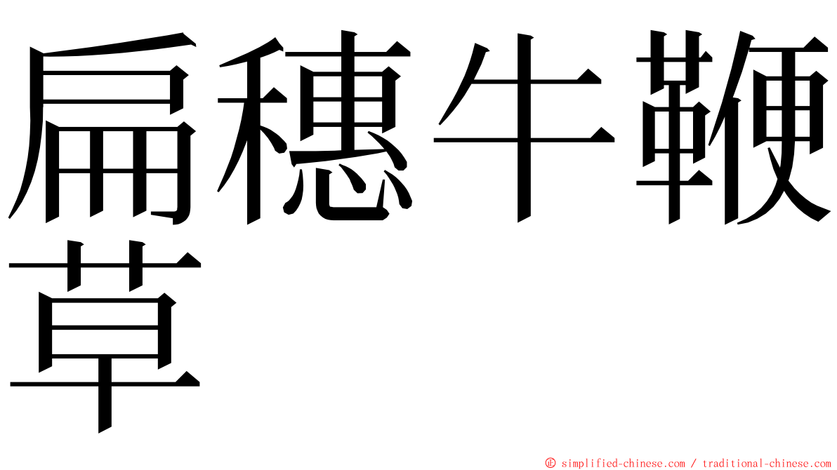 扁穗牛鞭草 ming font