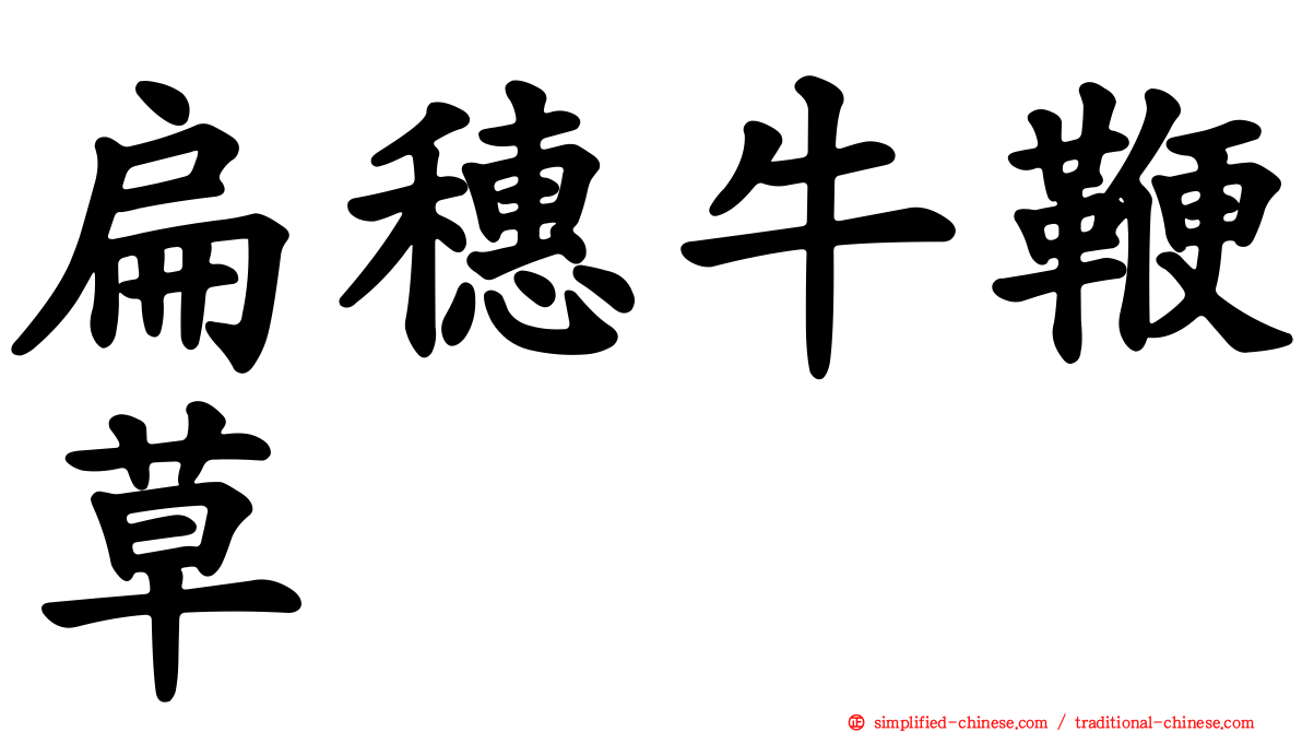扁穗牛鞭草