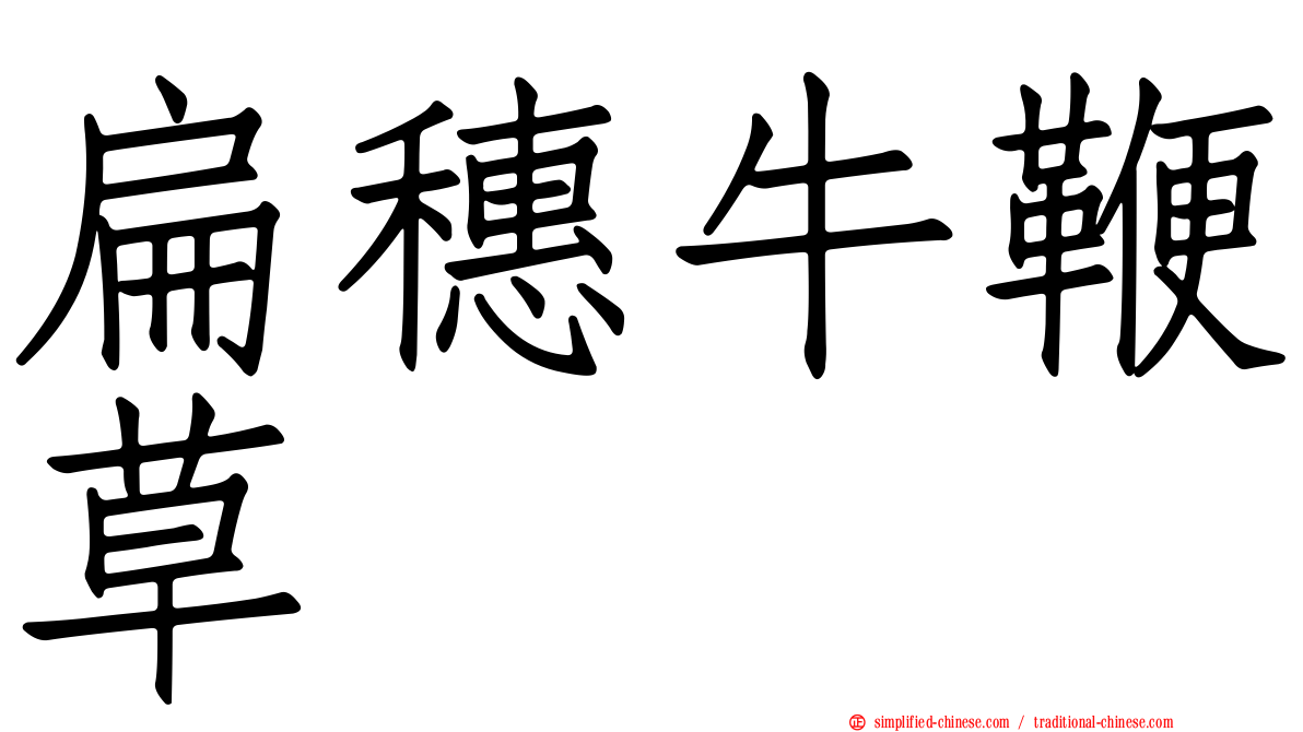 扁穗牛鞭草