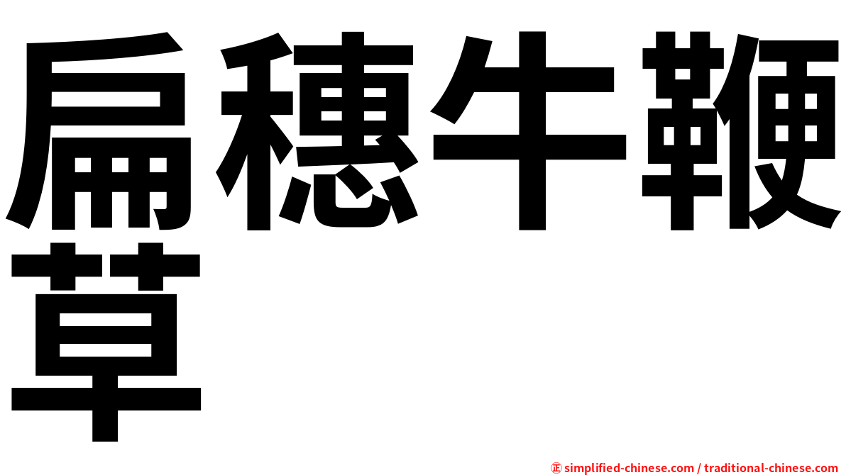 扁穗牛鞭草