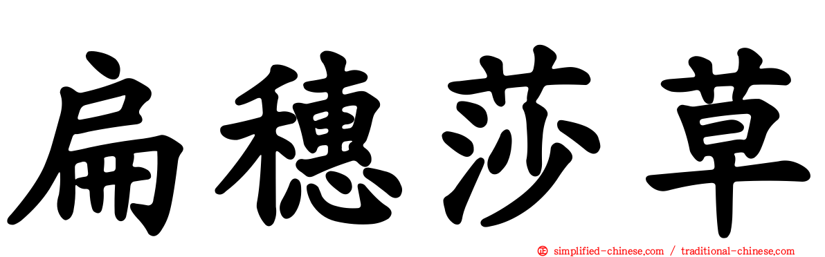 扁穗莎草