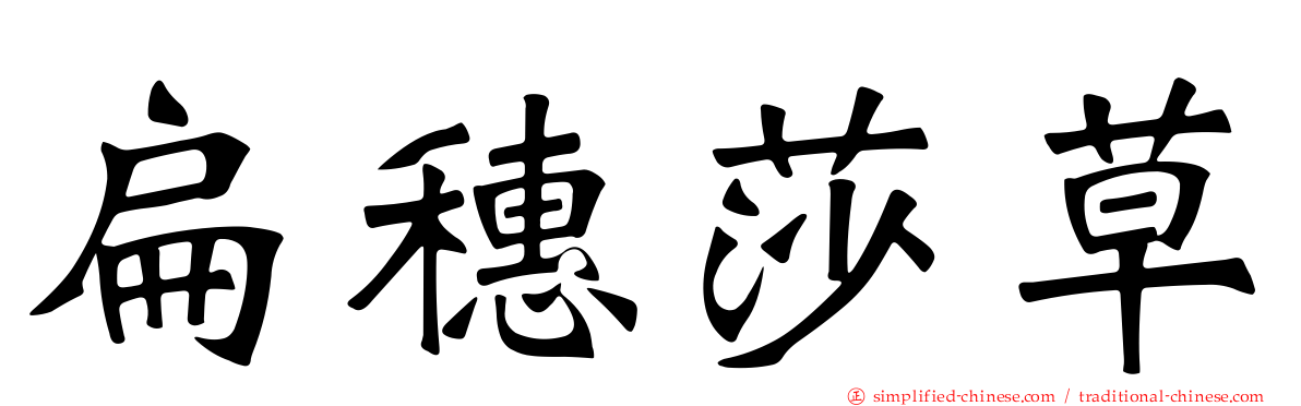 扁穗莎草