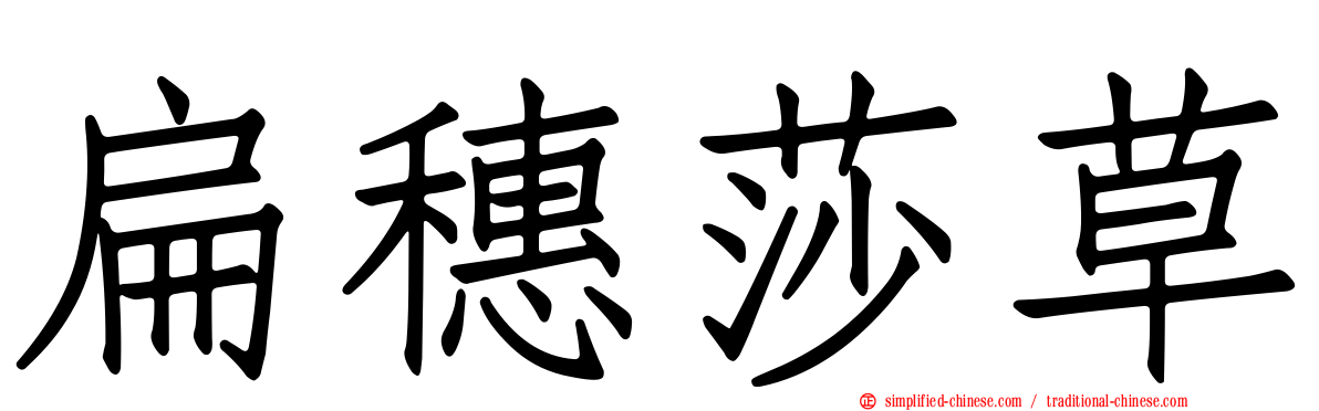 扁穗莎草
