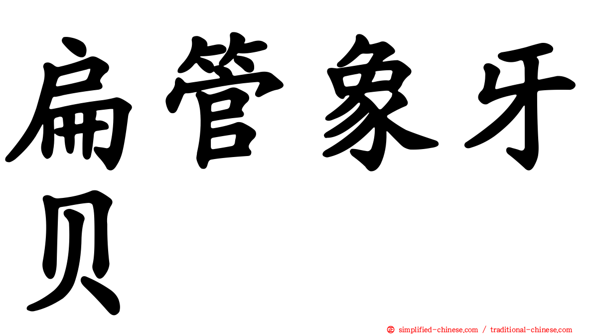 扁管象牙贝
