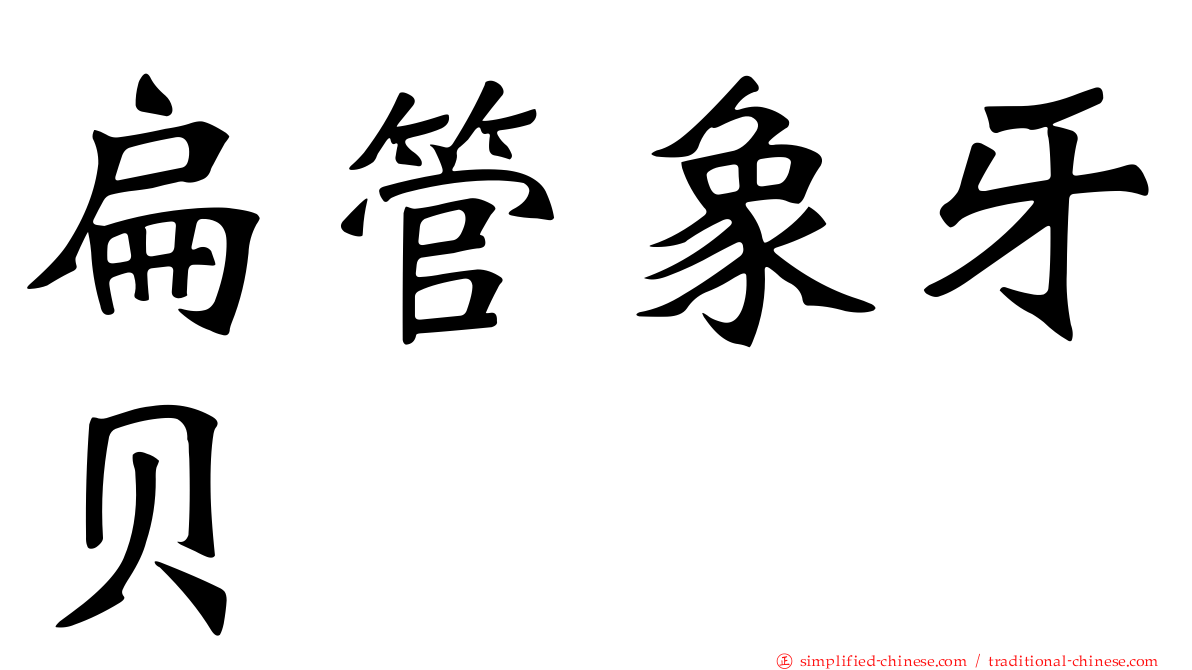 扁管象牙贝