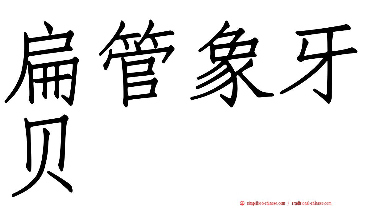 扁管象牙贝