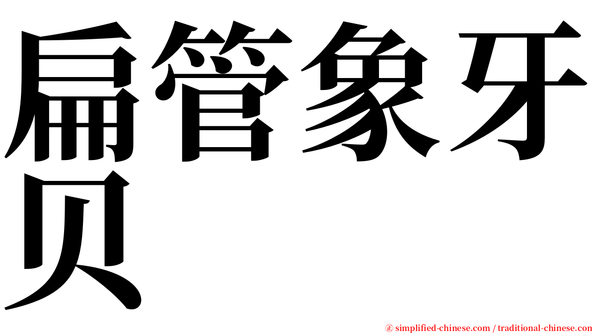 扁管象牙贝 serif font