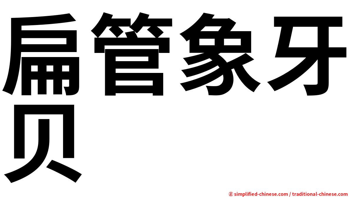 扁管象牙贝