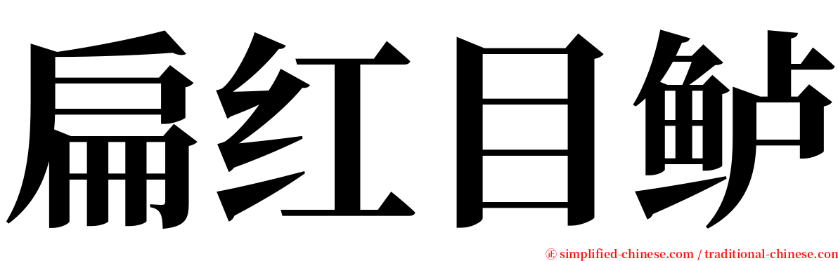 扁红目鲈 serif font
