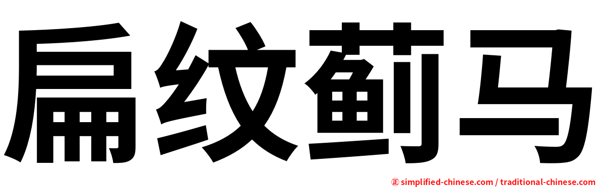 扁纹蓟马
