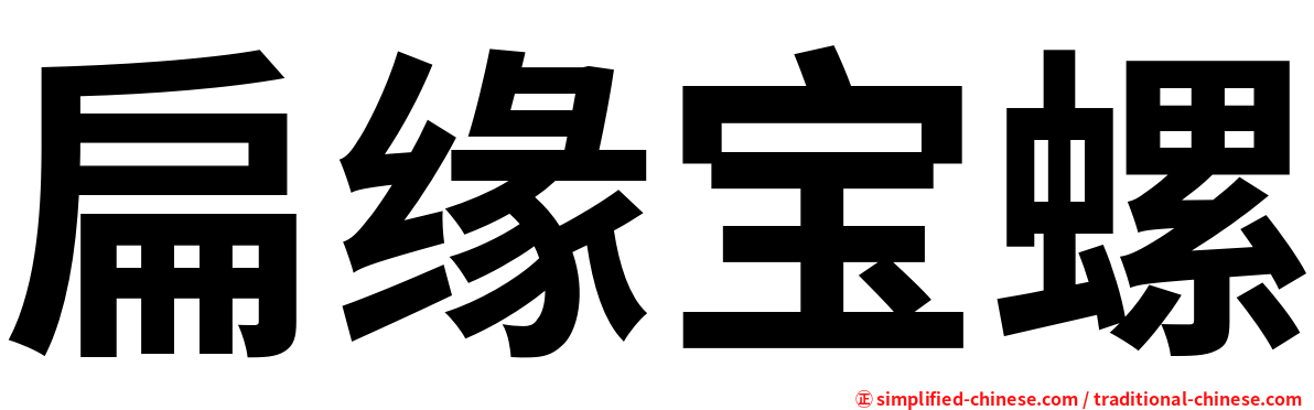 扁缘宝螺