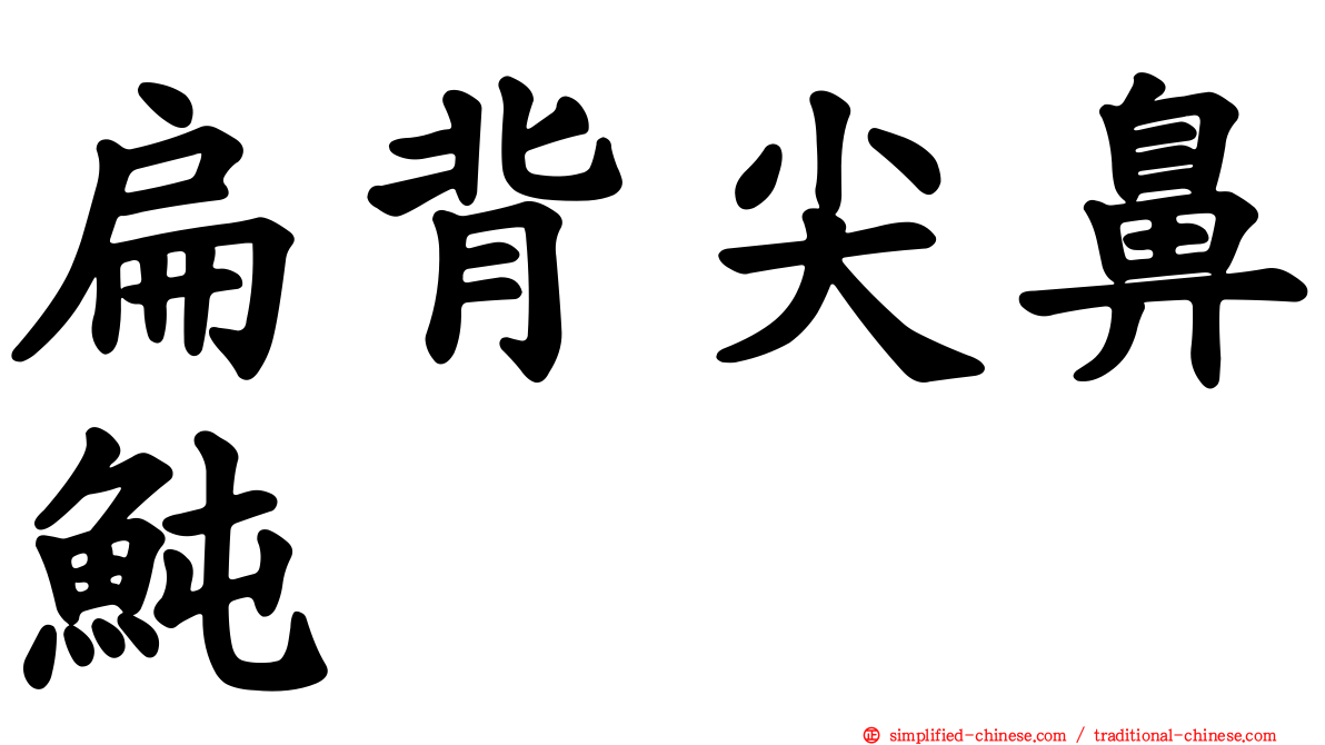 扁背尖鼻鲀