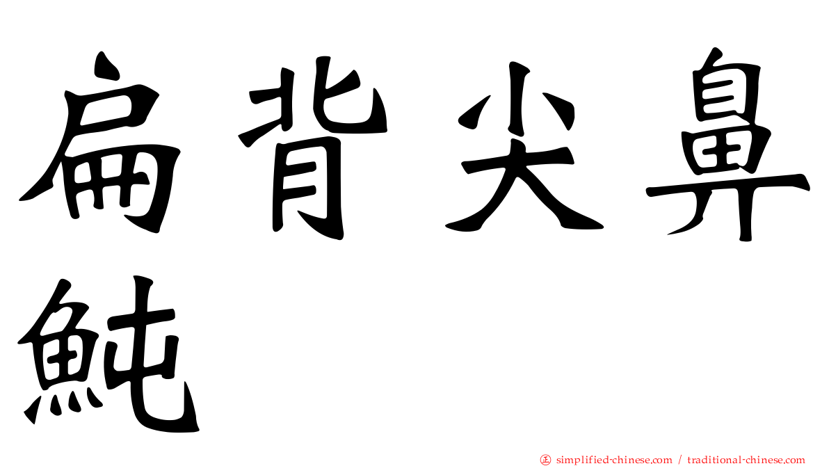 扁背尖鼻鲀