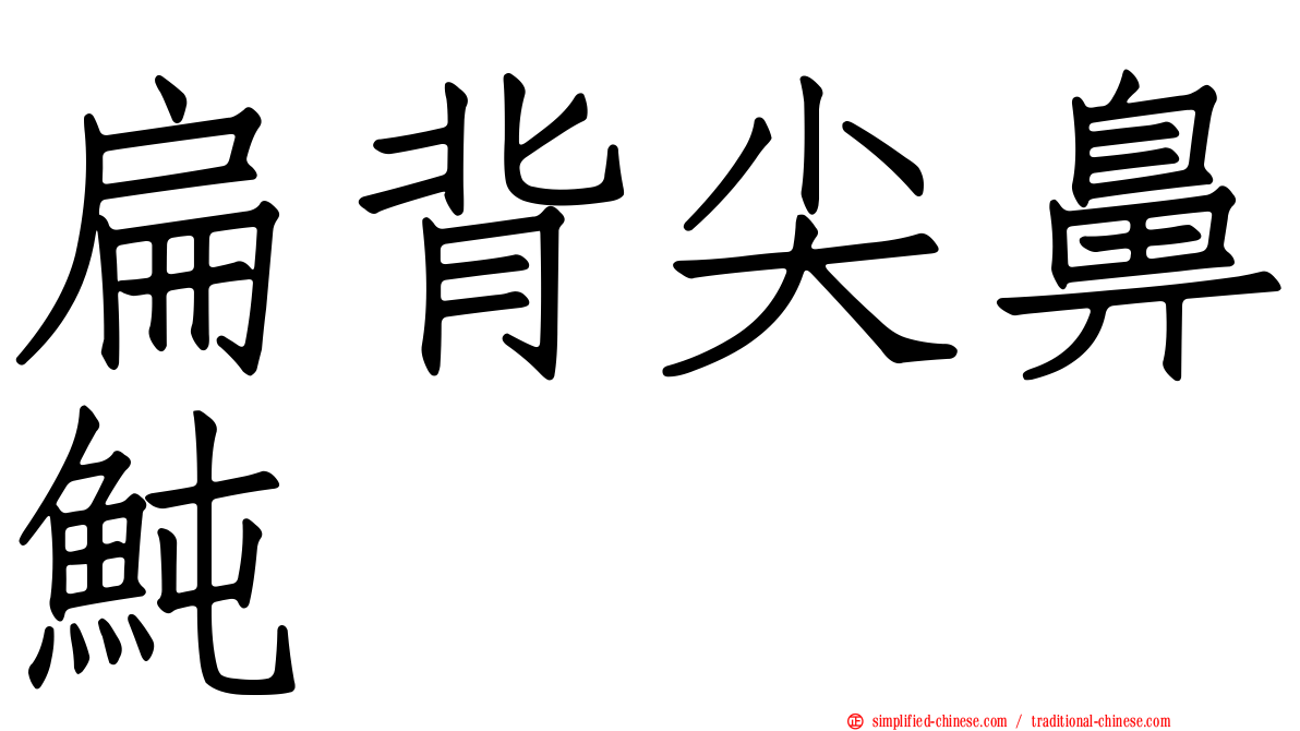 扁背尖鼻鲀