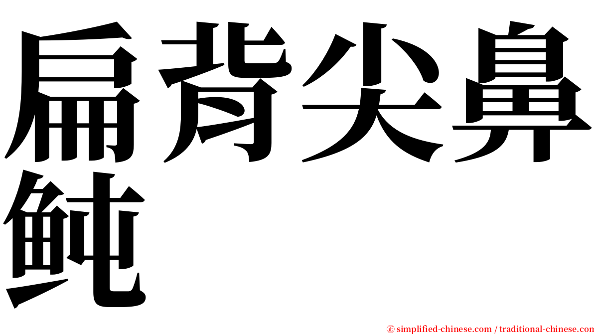 扁背尖鼻鲀 serif font