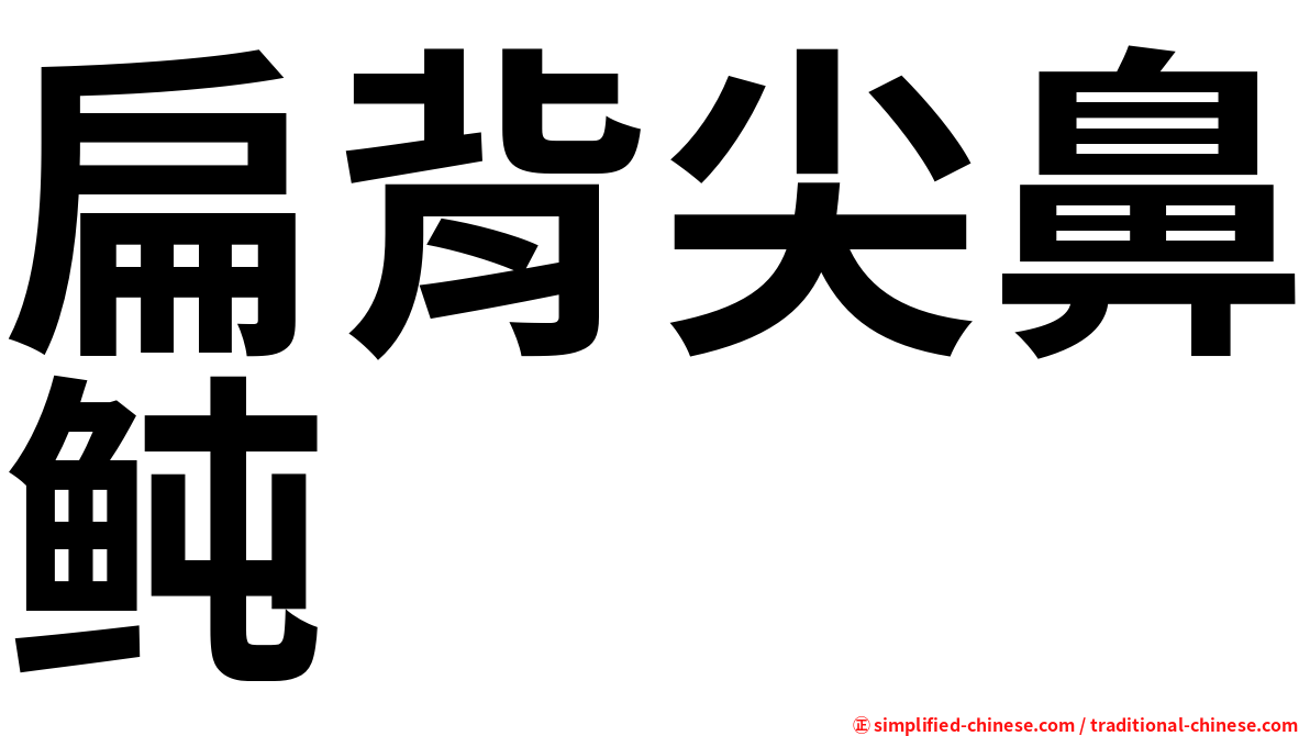 扁背尖鼻鲀