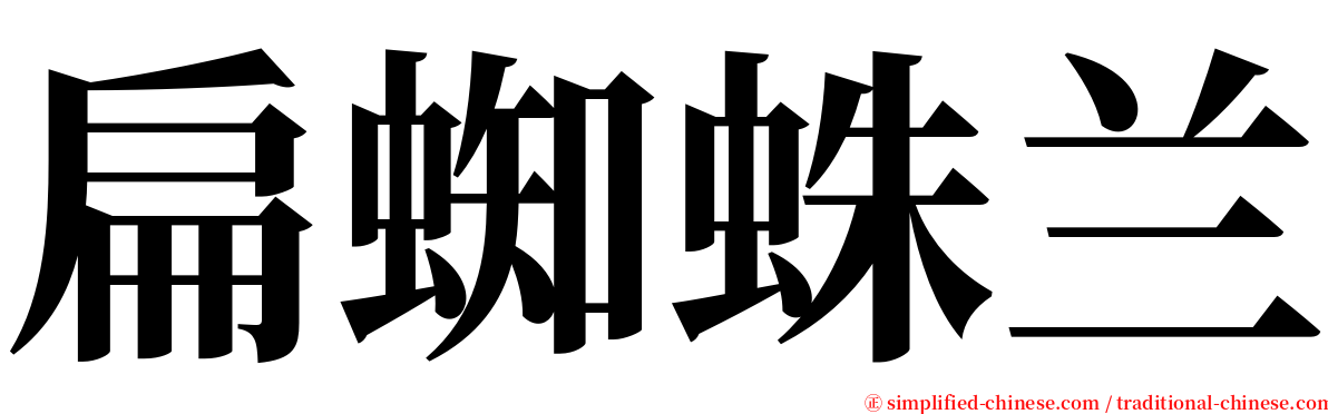 扁蜘蛛兰 serif font