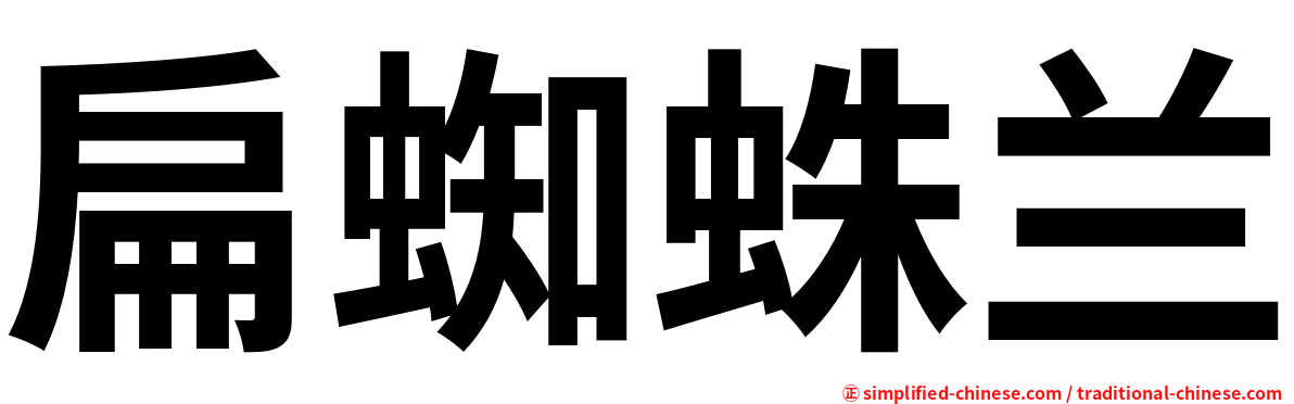 扁蜘蛛兰