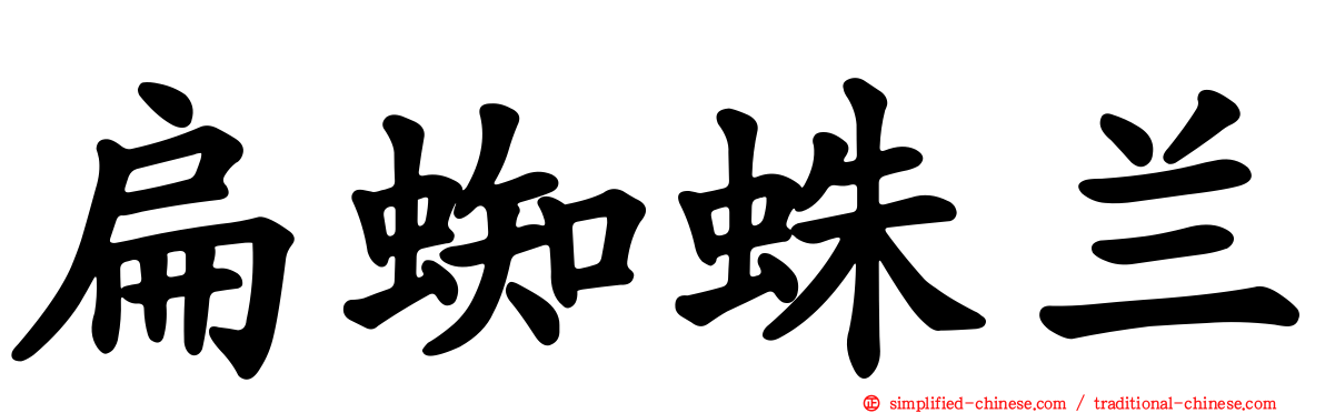扁蜘蛛兰