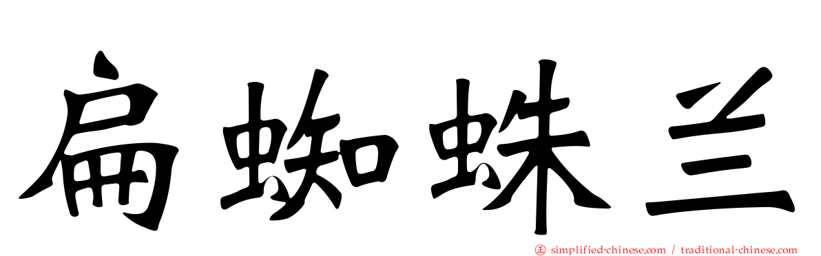 扁蜘蛛兰
