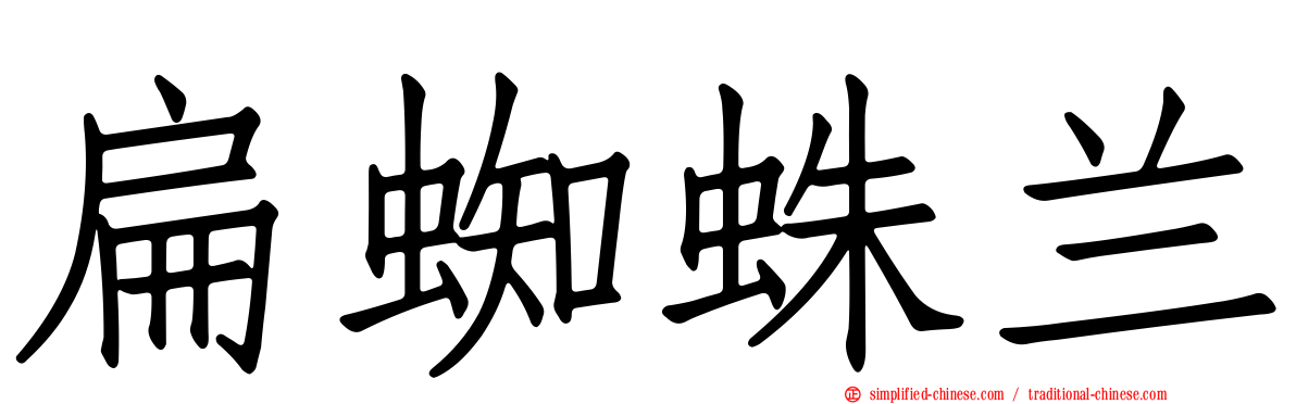 扁蜘蛛兰