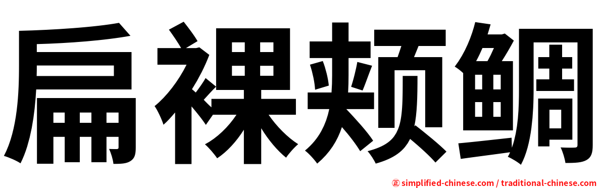 扁裸颊鲷