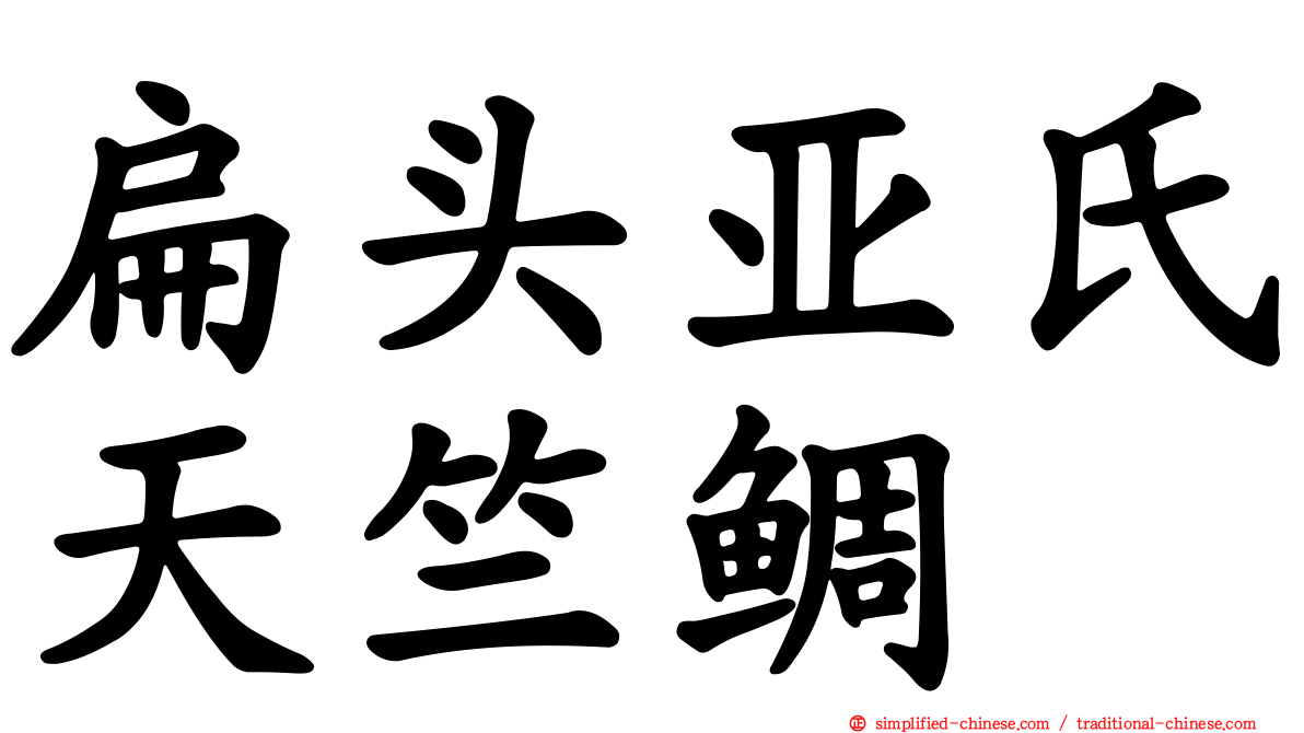 扁头亚氏天竺鲷