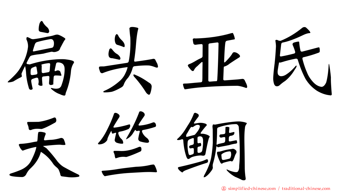 扁头亚氏天竺鲷