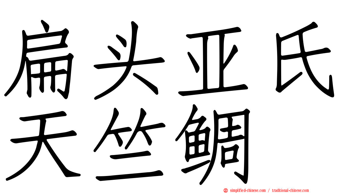 扁头亚氏天竺鲷