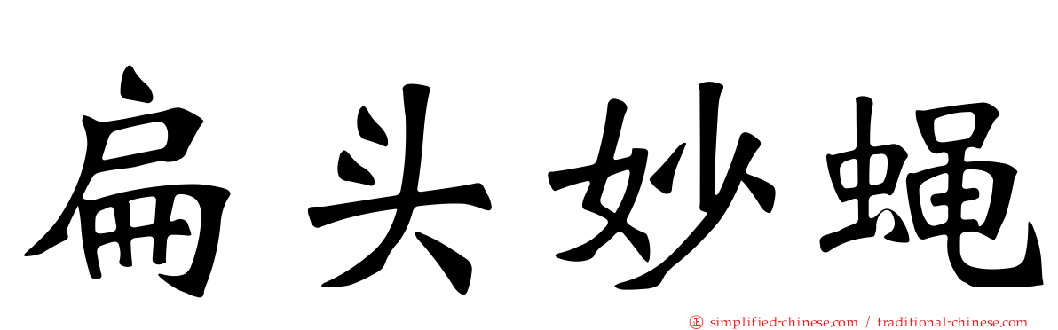 扁头妙蝇