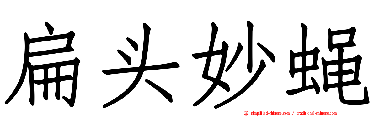 扁头妙蝇