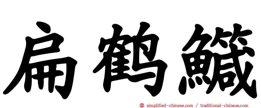 扁鹤鱵